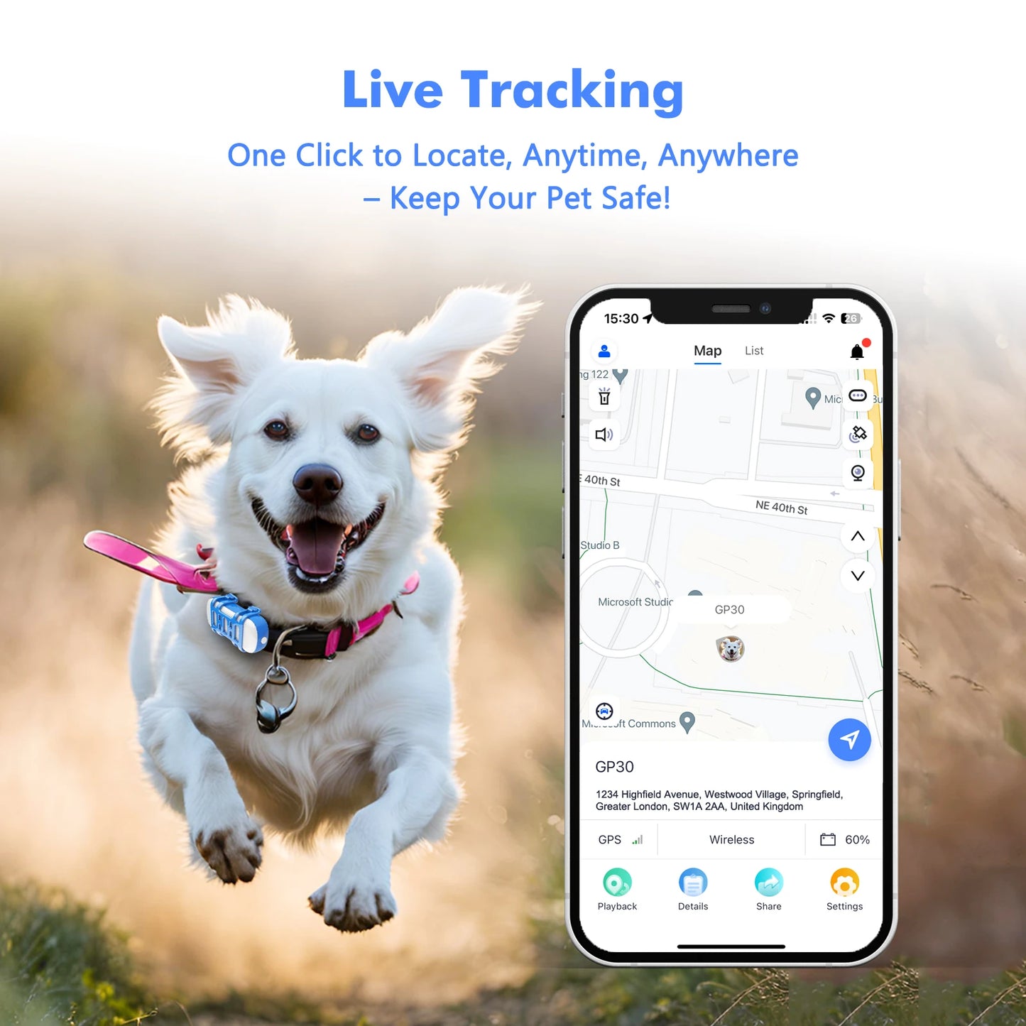 4G Waterproof GPS Tracker for Dogs and Cats with Live Tracking