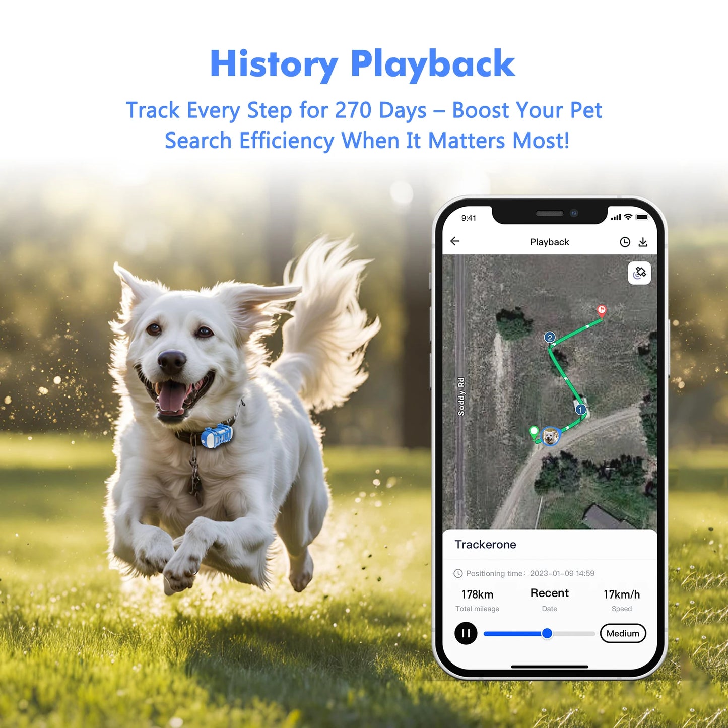 4G Waterproof GPS Tracker for Dogs and Cats with Live Tracking