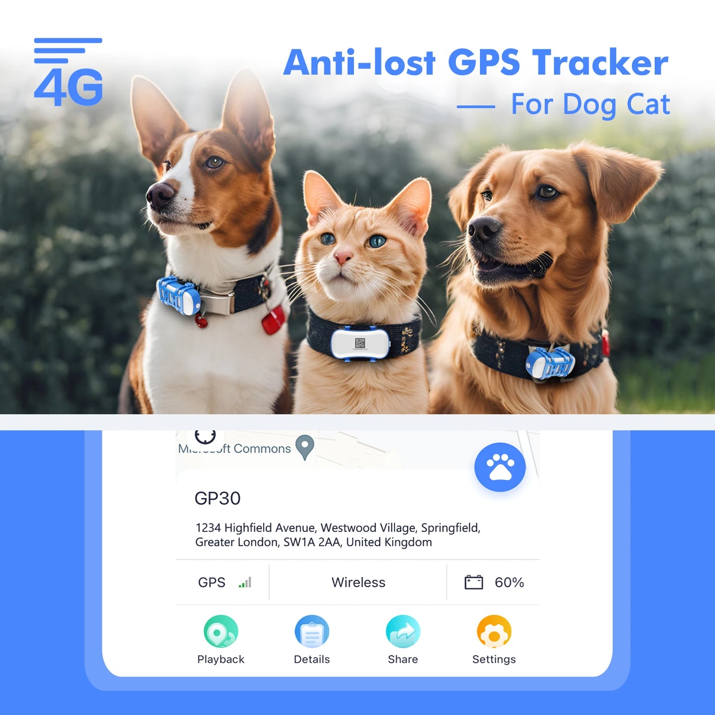 4G Waterproof GPS Tracker for Dogs and Cats with Live Tracking