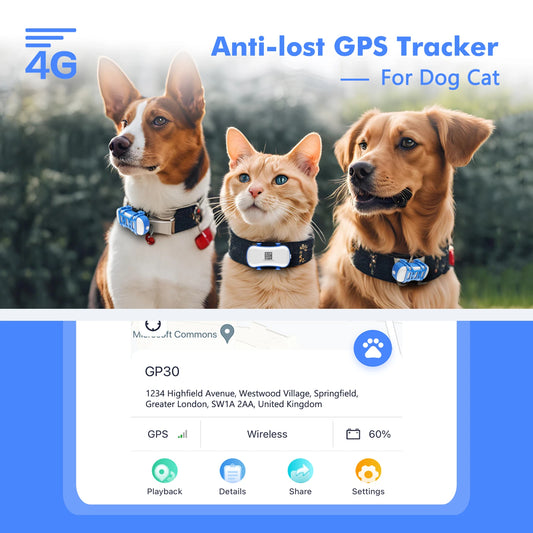 4G Waterproof GPS Tracker for Dogs and Cats with Live Tracking