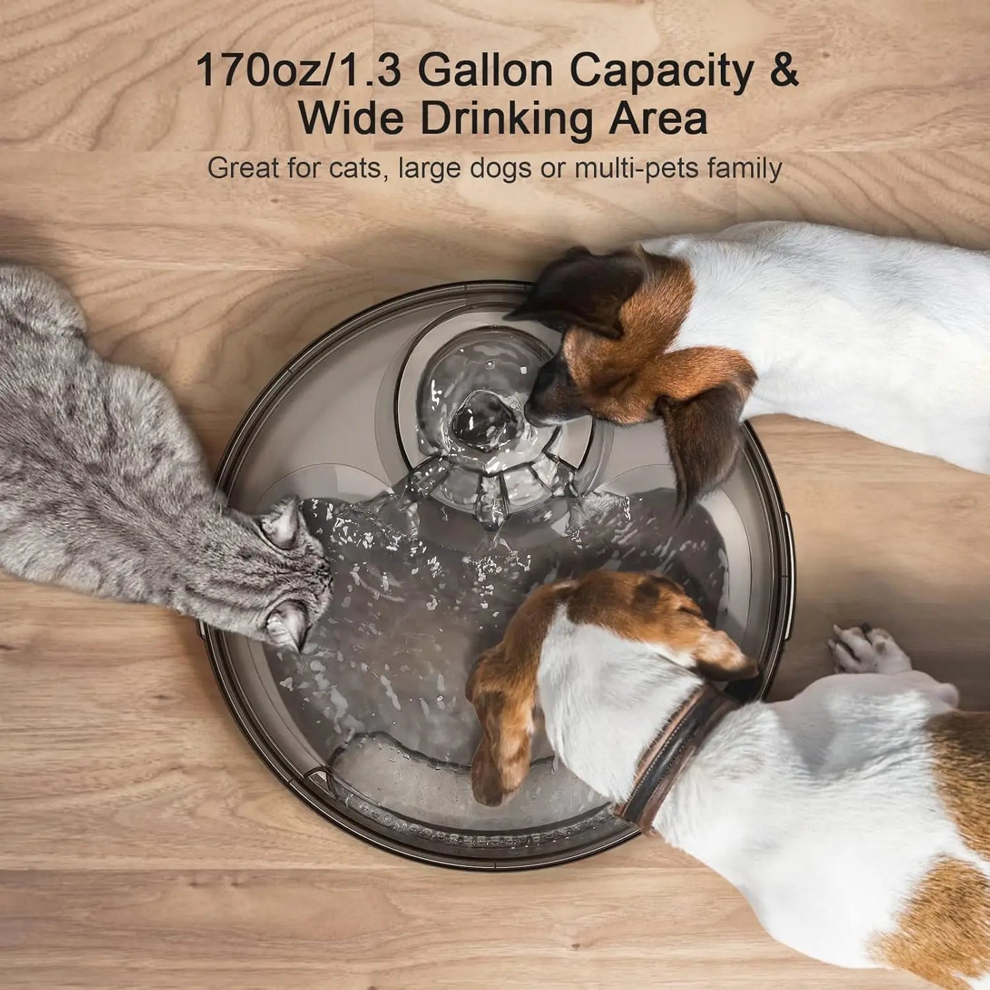 NPET DF10 Dog Water Fountain 170oz Automatic Dispenser for Pets