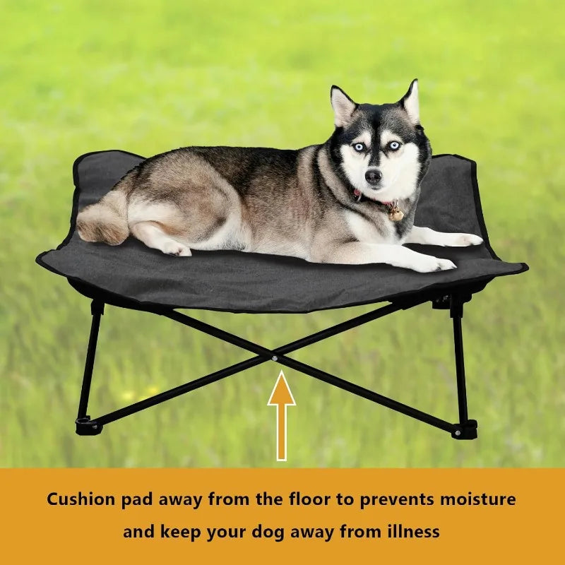Elevated Dog Bed Portable Raised Pet Cot for Indoor and Travel