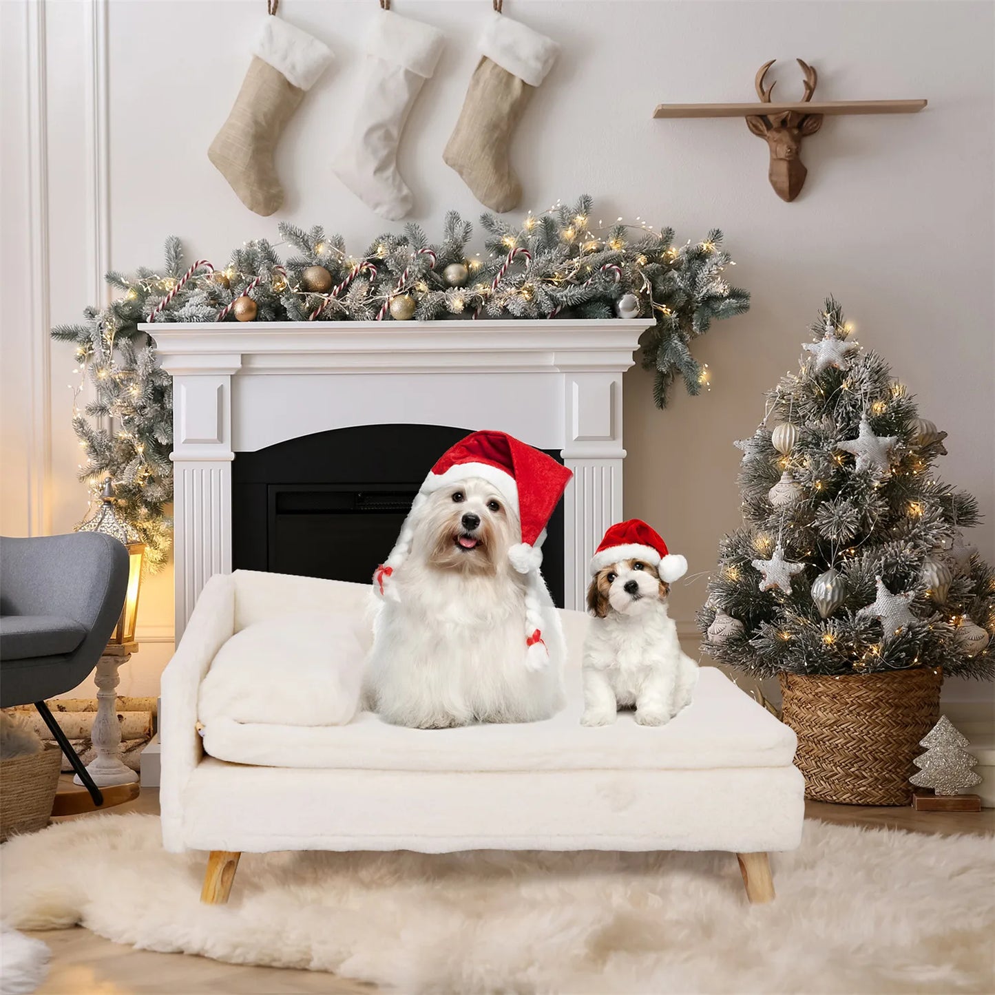 Elevated Nordic Pet Bed with Cozy Waterproof Cushion for Small Dogs
